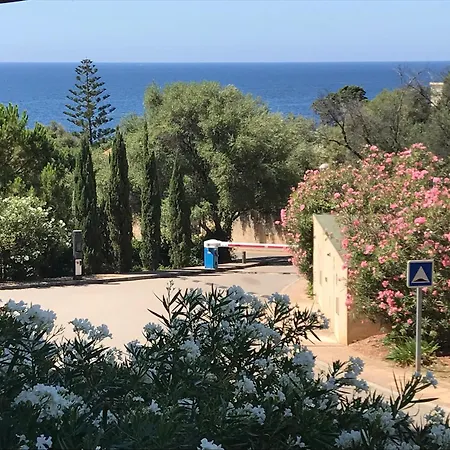 Entre Terre Et Apartment Ajaccio (Corsica)